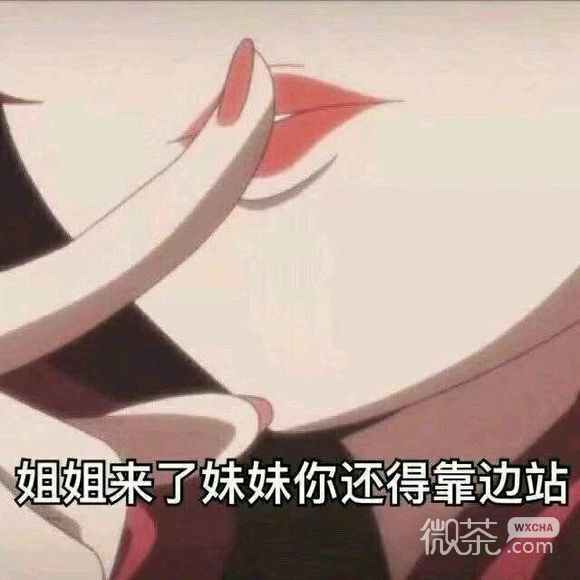 微信近期斗图恶搞表情包2019/8/6