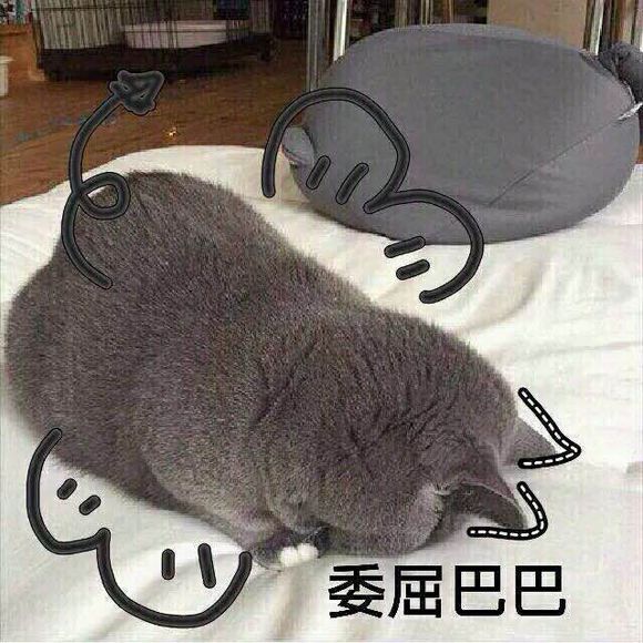 微信搞笑小人GIF表情包