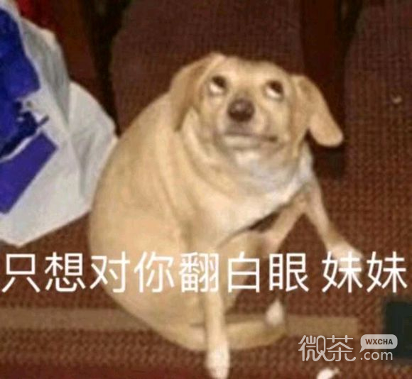 微信近期斗图恶搞表情包2019/8/6