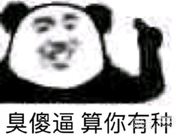 微信近期斗图恶搞表情包2019/8/6