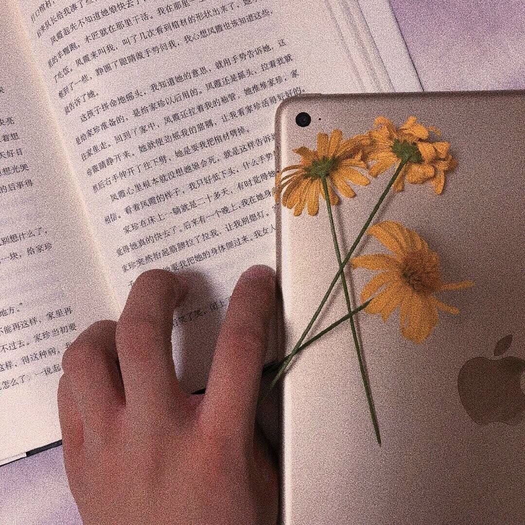 微信可爱意境静物朋友圈配图