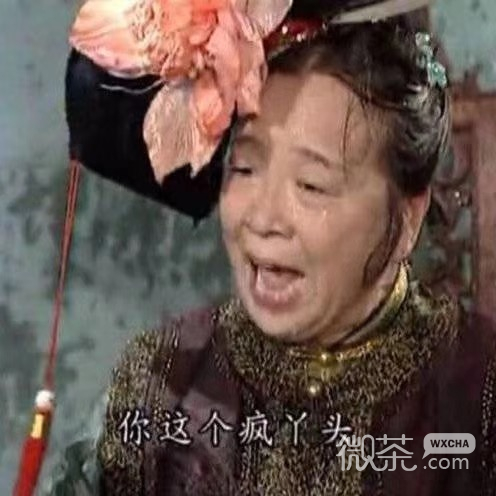 近期微信最新热门群聊斗图表情包下载