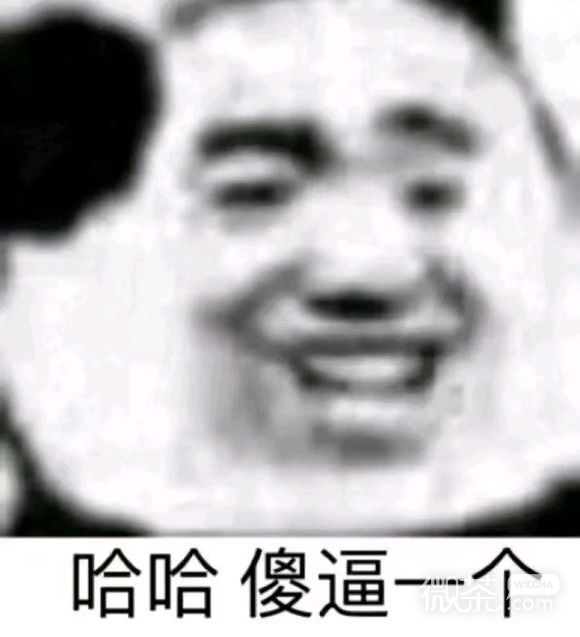 微信近期斗图恶搞表情包2019/8/6