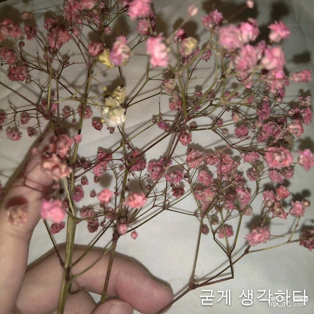 伤感孤独微信朋友圈配图