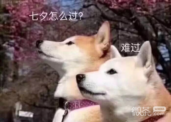 近期微信最新热门群聊斗图表情包下载