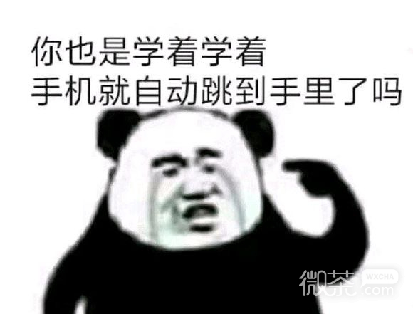 微信近期斗图恶搞表情包2019/8/6