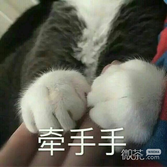 你变了微信恶搞表情包