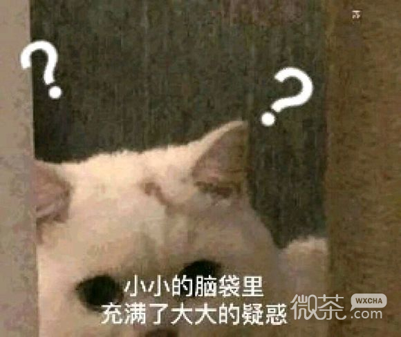 撒泼微信恶搞斗图表情包