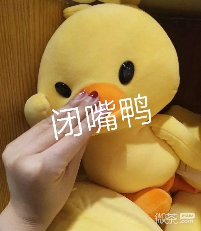 微信每日爆笑沙雕表情包套图下载