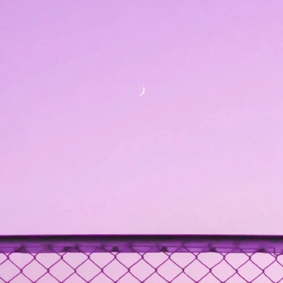 紫色唯美静物系列微信头像下载