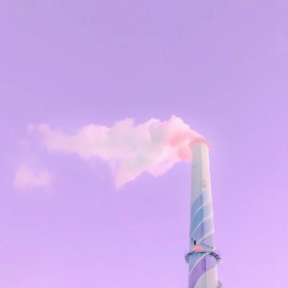 紫色唯美静物系列微信头像下载