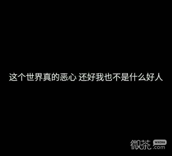唯美风景静物微信朋友圈配图