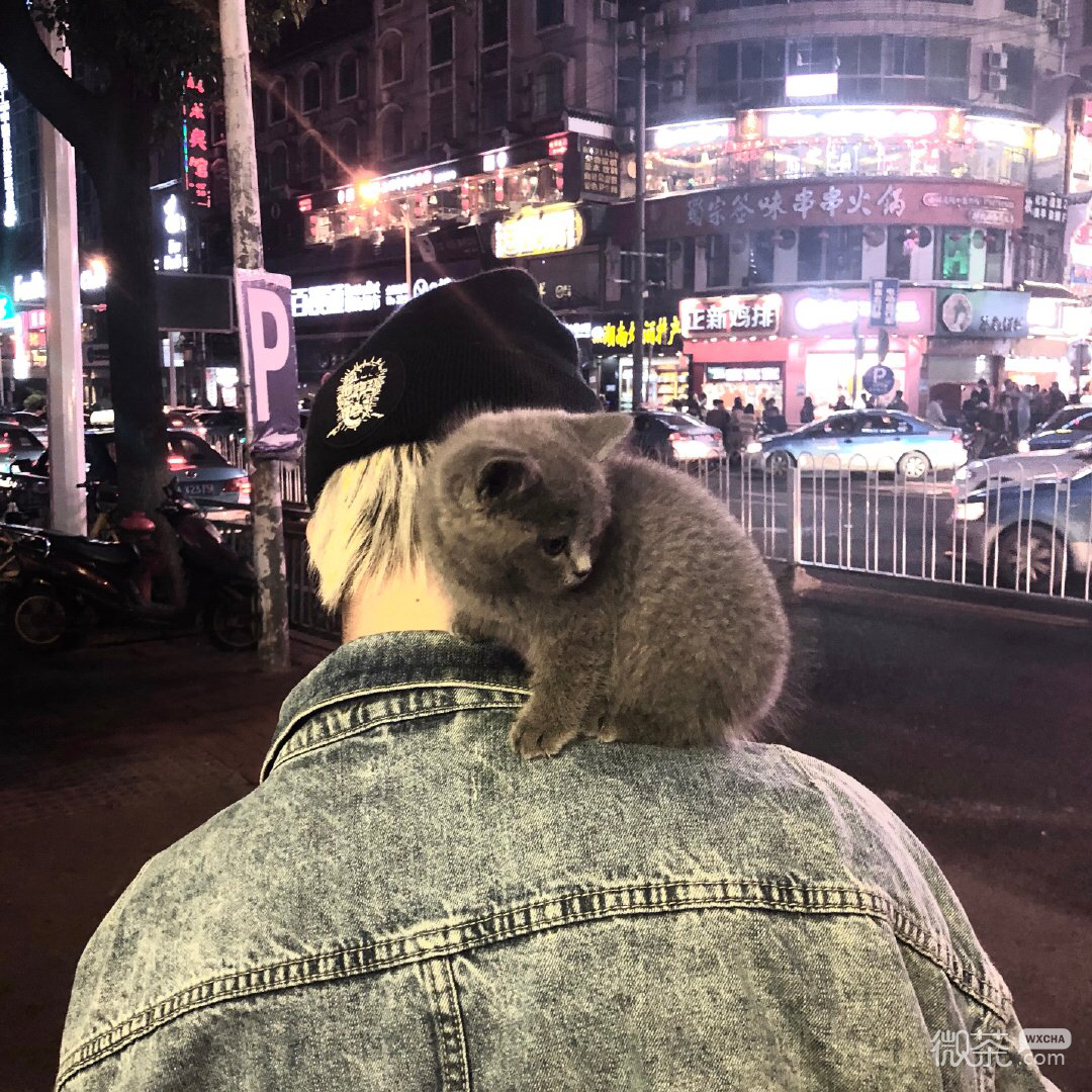 微信深沉帅气成熟男头