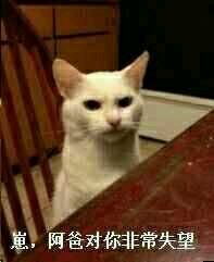 微信近期斗图恶搞表情包2019/8/11