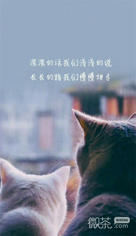 唯美带字的微信意境图片壁纸下载