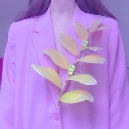 紫色唯美静物系列微信头像下载