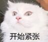 气气微信恶搞斗图表情包