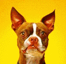 微信近期斗图恶搞表情包2019/8/11