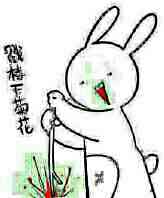 微信近期斗图恶搞表情包2019/8/11