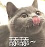 气气微信恶搞斗图表情包