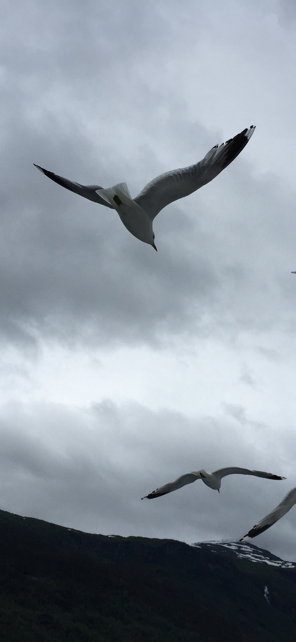 小清新简约手机壁纸