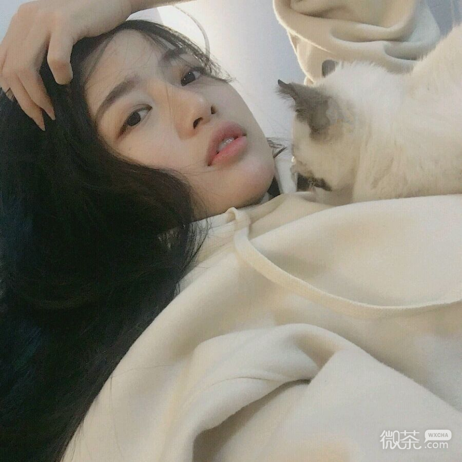 简洁气质微信女头