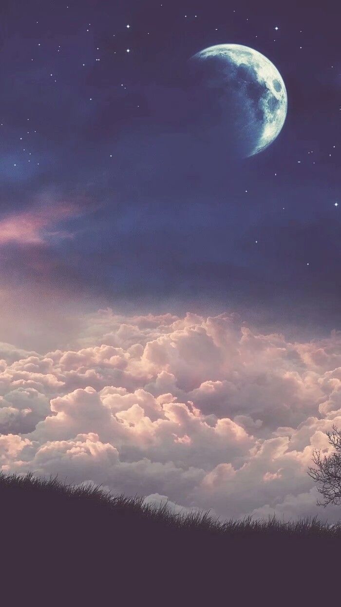 小清新简约手机壁纸