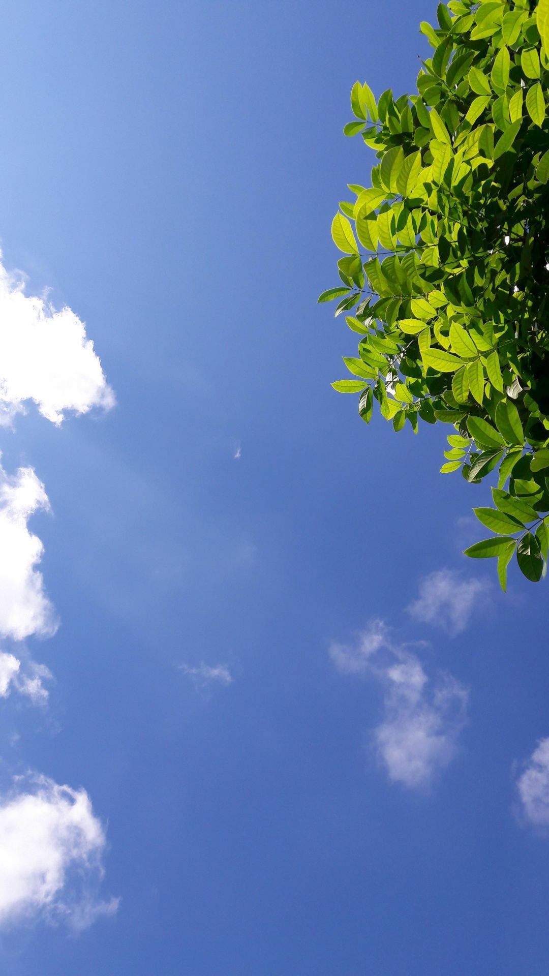 小清新简约手机壁纸