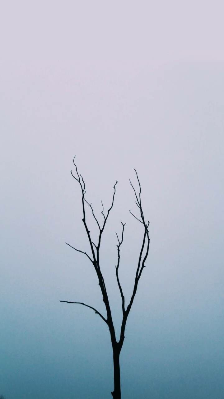 小清新简约手机壁纸