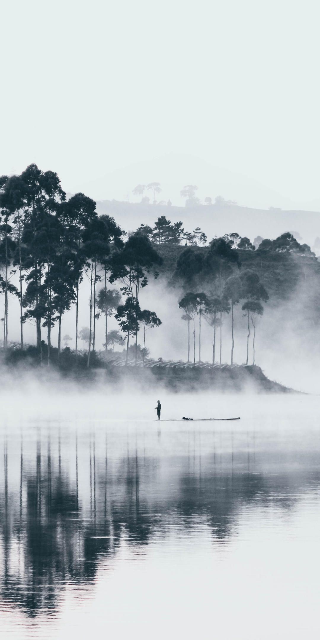 小清新简约手机壁纸