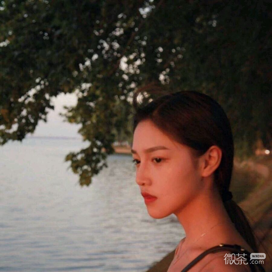 简洁气质微信女头