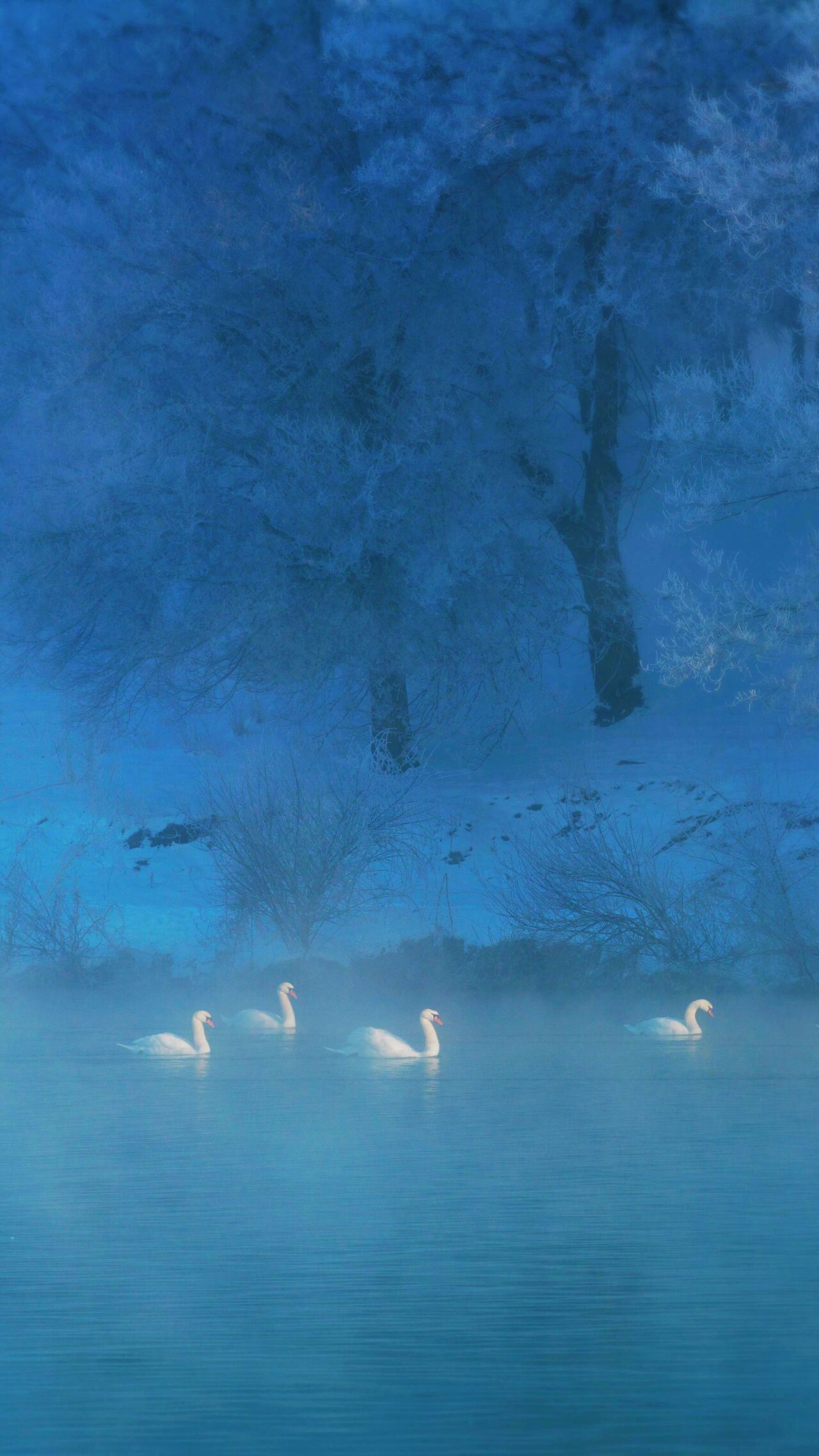 小清新简约手机壁纸