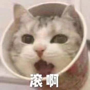 夸张哦微信恶搞斗图表情包