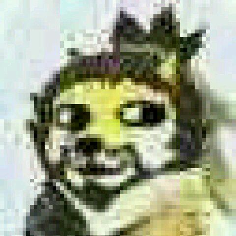 严肃微信恶搞群聊杂图斗图表情包