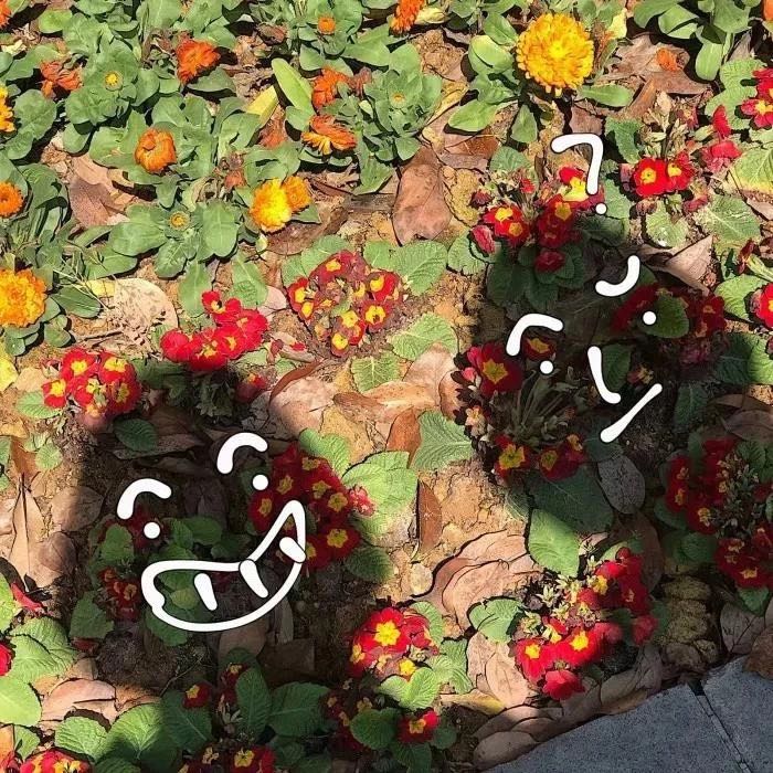 微信粉嫩小仙女朋友圈配图