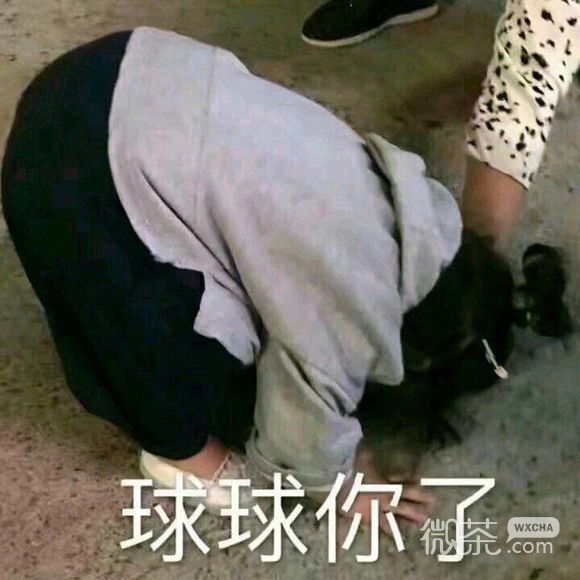 恶搞群聊杂图微信嫌弃表情包