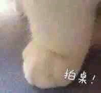 垃圾微信恶搞群聊杂图斗图表情包