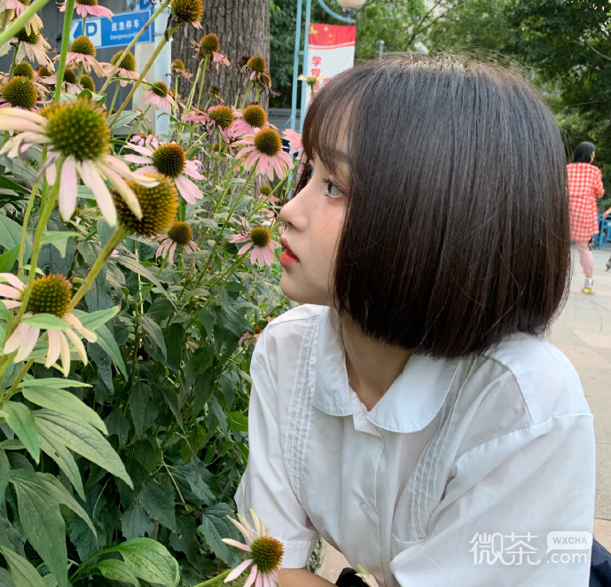 微信清新可爱小仙女女头