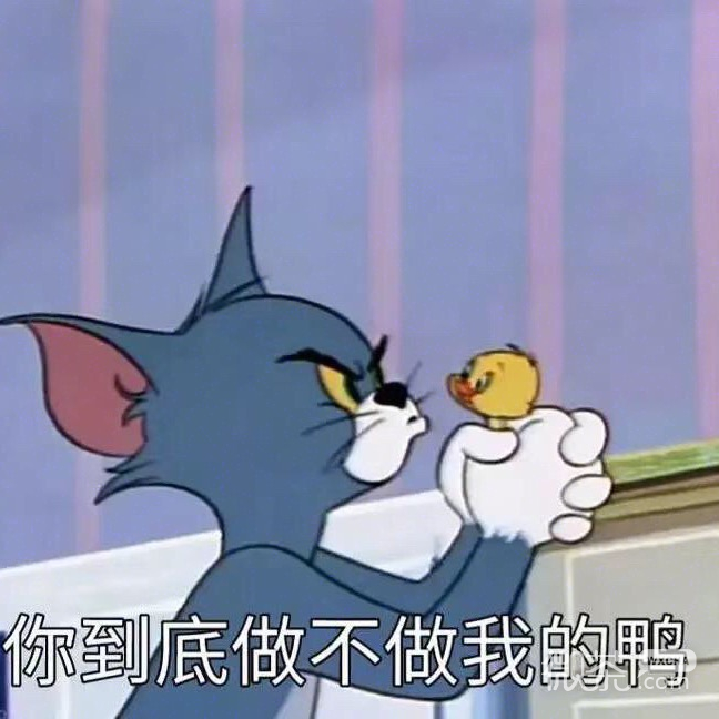 可爱搞怪的猫和老鼠系列表情包下载