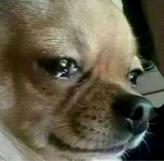 垃圾微信恶搞群聊杂图斗图表情包