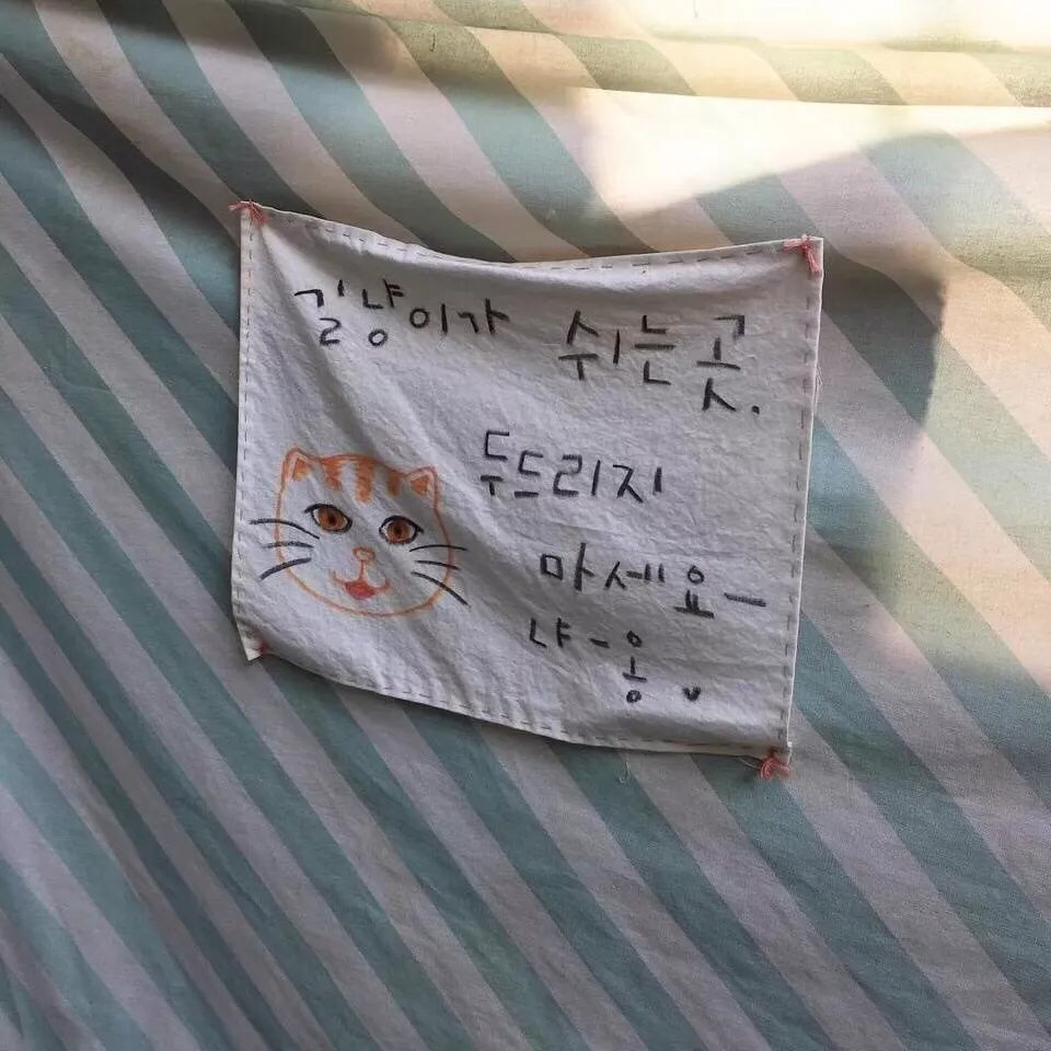 简洁少女心微信朋友圈配图