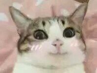 垃圾微信恶搞群聊杂图斗图表情包