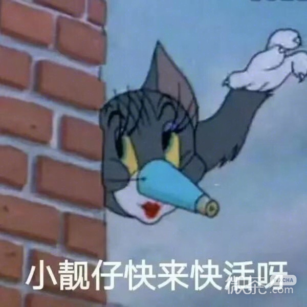 可爱搞怪的猫和老鼠系列表情包下载