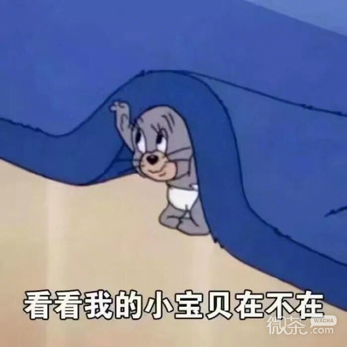 可爱搞怪的猫和老鼠系列表情包下载