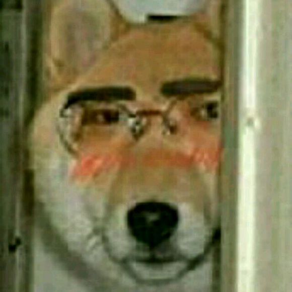 垃圾微信恶搞群聊杂图斗图表情包