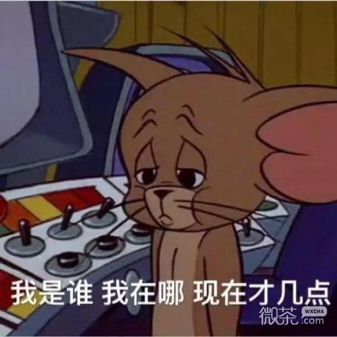 可爱搞怪的猫和老鼠系列表情包下载
