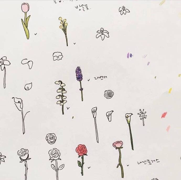 简洁少女心微信朋友圈配图