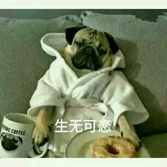 垃圾微信恶搞群聊杂图斗图表情包