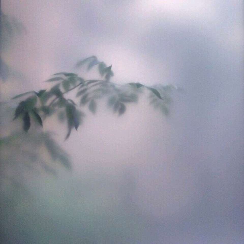 文艺孤独朋友圈配图