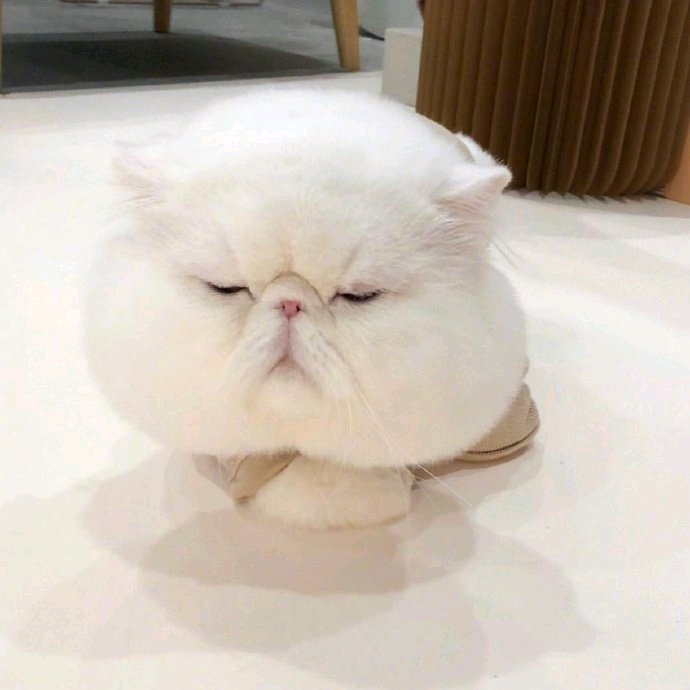 文艺孤独朋友圈配图